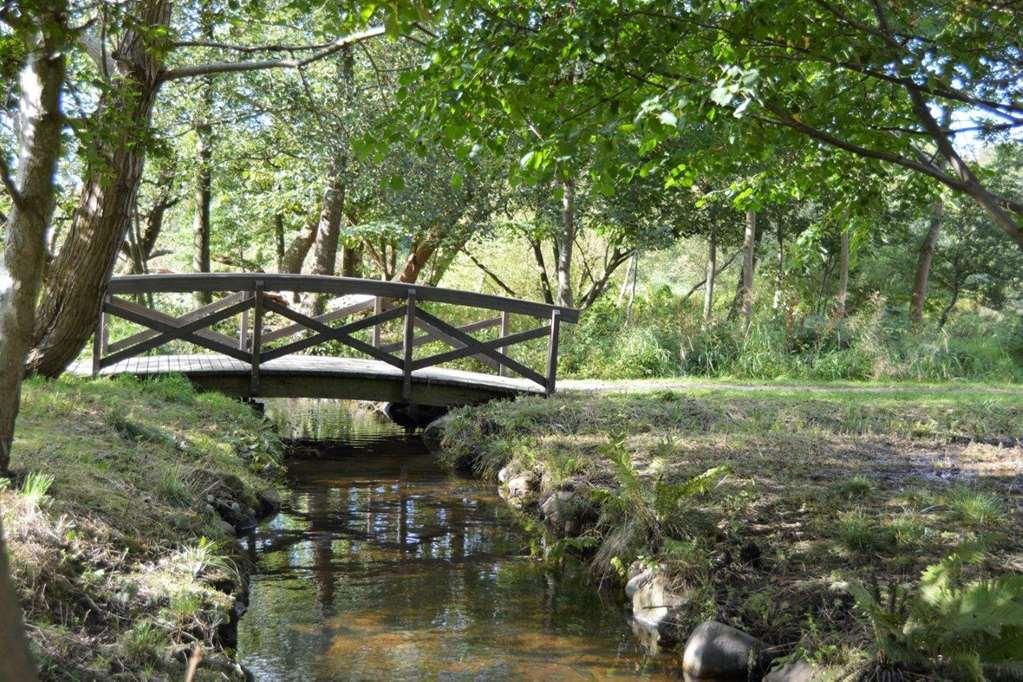 מלון אסביירג Ech Park מתקנים תמונה